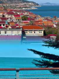 青島1元環海公交yyds！沿途海景美翻天