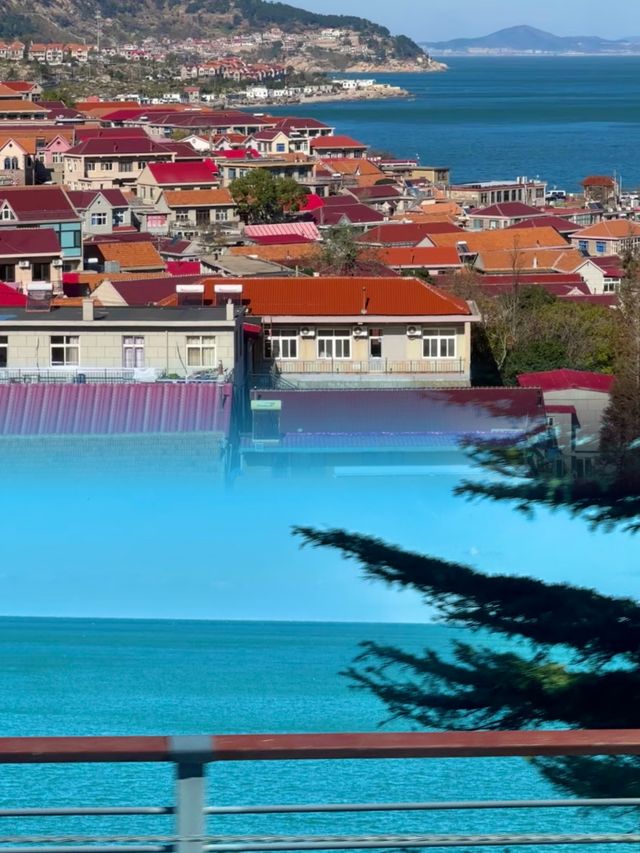 青島1元環海公交yyds！沿途海景美翻天