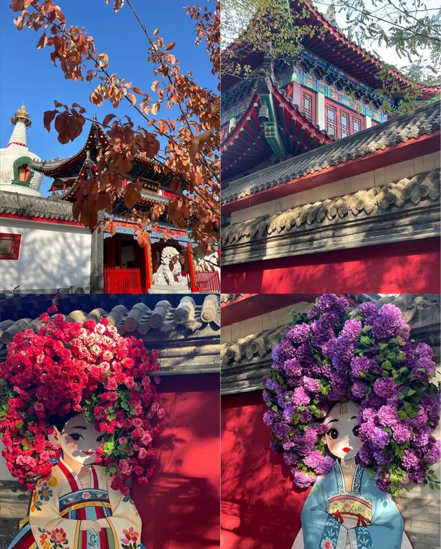 西塔閨蜜遊|煙火裡藏祈福,舒適旅居治癒時光 西塔閨蜜遊|煙火裡藏祈福,舒適旅居治癒時光