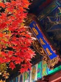 北京的香山紅葉紅了
