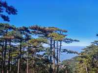 玉山秋日雲海觀景台