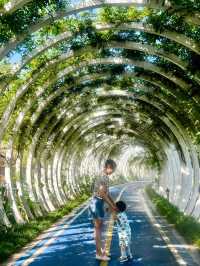 千島湖植物園 2歲寶寶也能走的徒步路線