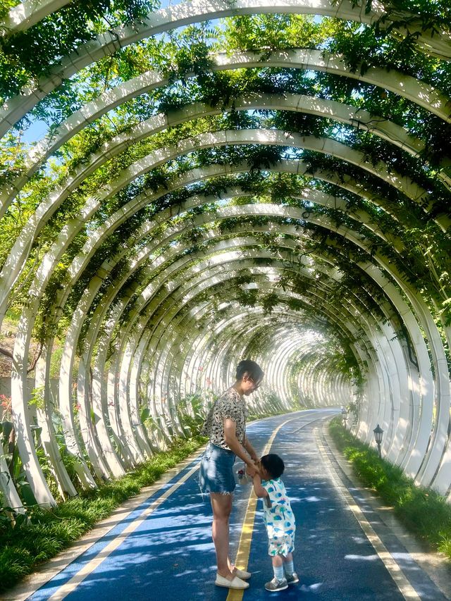 千島湖植物園 2歲寶寶也能走的徒步路線