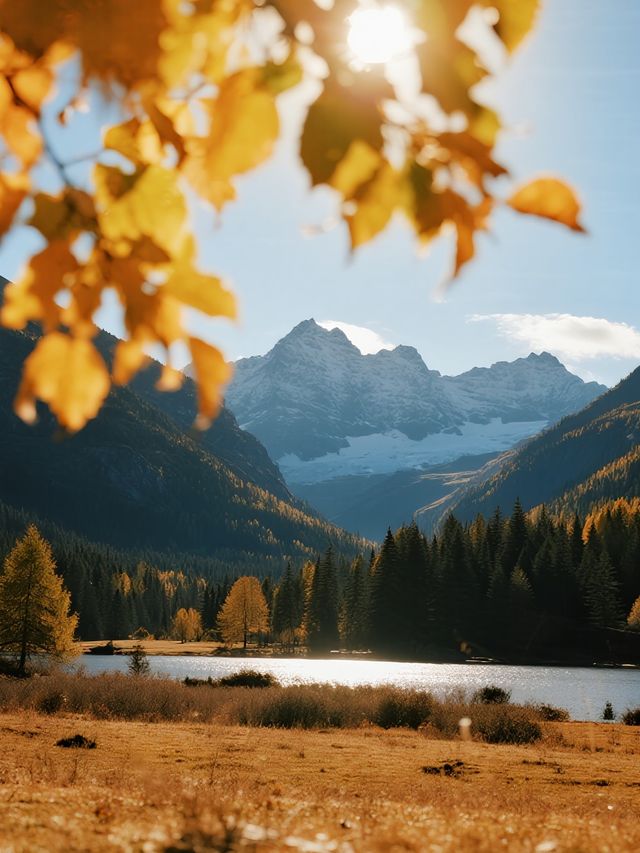 雲台山親子2-3日遊帶娃玩轉山水與人文盛宴