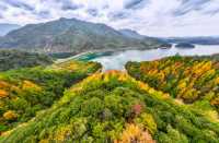 千島湖初冬美景，層林盡染如油畫