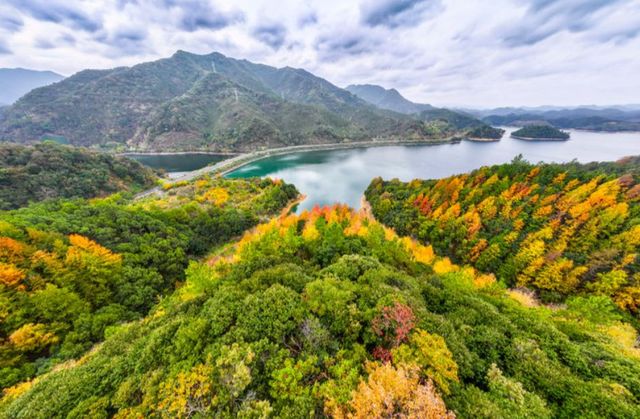 千島湖初冬美景，層林盡染如油畫