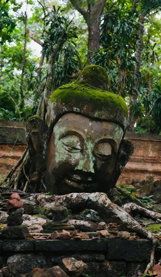 Chiang Mai's Hidden Gem｜Find Inner Peace Among Moss and Broken Buddhas