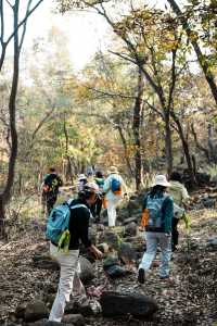 南京止馬嶺 秋季徒步出片指南