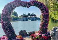 揚州慢~瘦西湖+個園 超出片