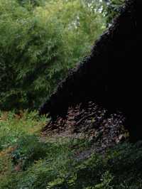 一秒穿越千年古庭院