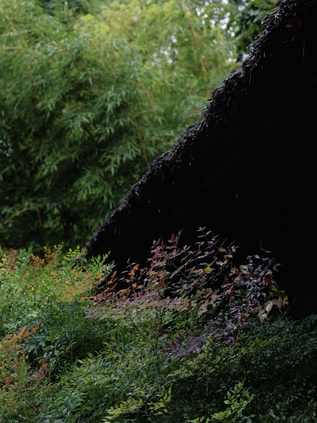 一秒穿越千年古庭院