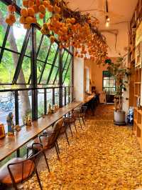 在佛山，如何過一個文藝感拉滿的秋日午後？