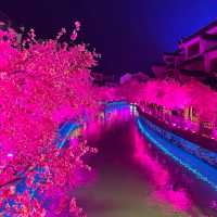 太湖龍之夢樂園攻略：一場水陸空聯動的度假區級狂歡盛宴