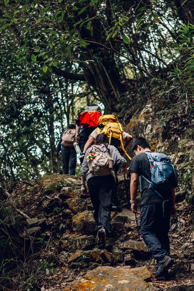 旗山森林公園徒步偶遇猴哥!20km古道+網紅 旗山森林公園徒步偶遇猴哥!20km古道+網紅