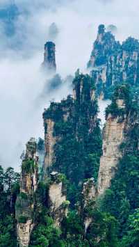 張家界 + 天門山 + 鳳凰古城 5 天 4 晚私人定製小包團（4-7 人）全程純玩無自費無購物 詳細行程與報價（不含餐）