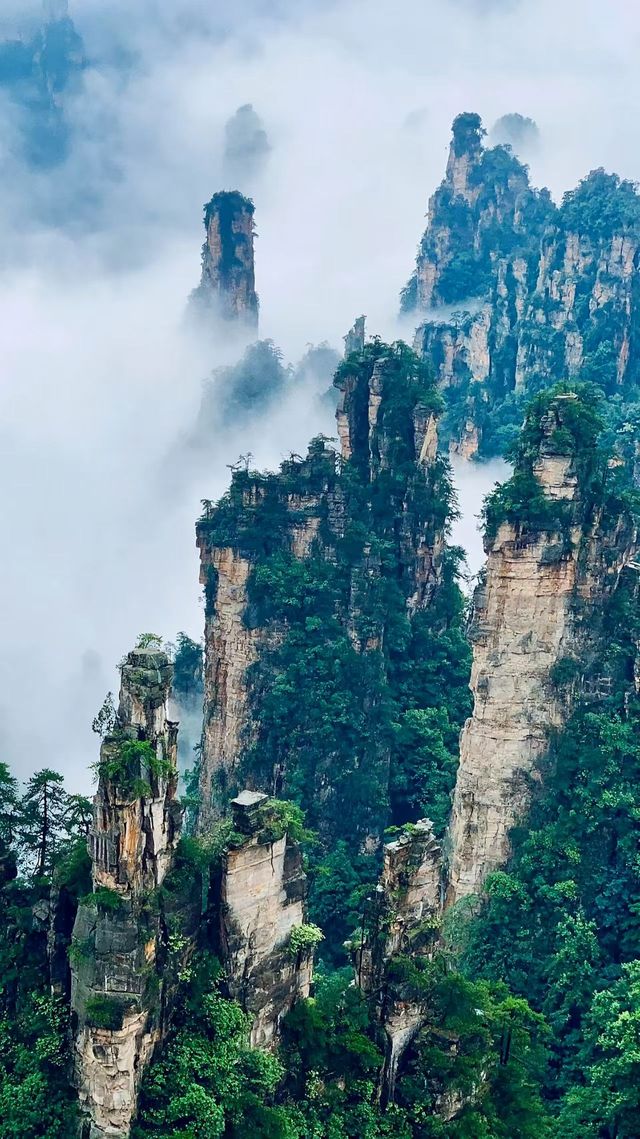 張家界 + 天門山 + 鳳凰古城 5 天 4 晚私人定製小包團（4-7 人）全程純玩無自費無購物 詳細行程與報價（不含餐）