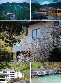 杭州自駕1.5h 隱匿於茶山竹海的隱世桃源