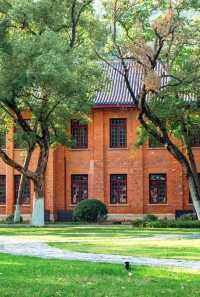 嶽麓書院旁秘徑！長沙秋日打卡天花板