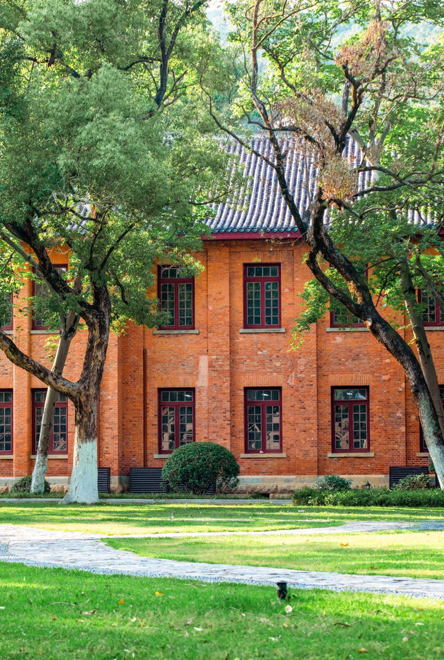 嶽麓書院旁秘徑！長沙秋日打卡天花板