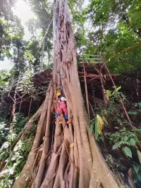 版納普洱親子線追象玉林徒步!體力黨衝