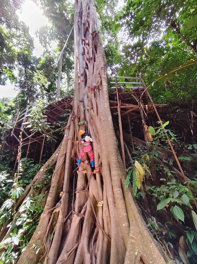 版納普洱親子線追象玉林徒步!體力黨衝 版納普洱親子線追象玉林徒步!體力黨衝
