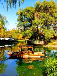 上海也有莫奈的花園