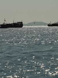 秋遊三亞包車遊太惬意啦