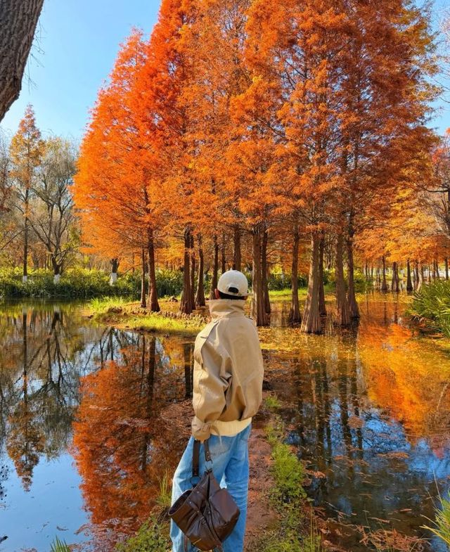 昆明等地5天遊這些隱藏玩法必看