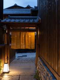 京都雨宿坎普頓,治癒感拉滿!
