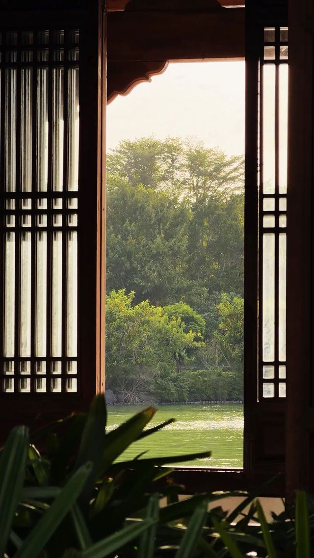 西湖邊隱秘觀景台，一些西湖的其他角度