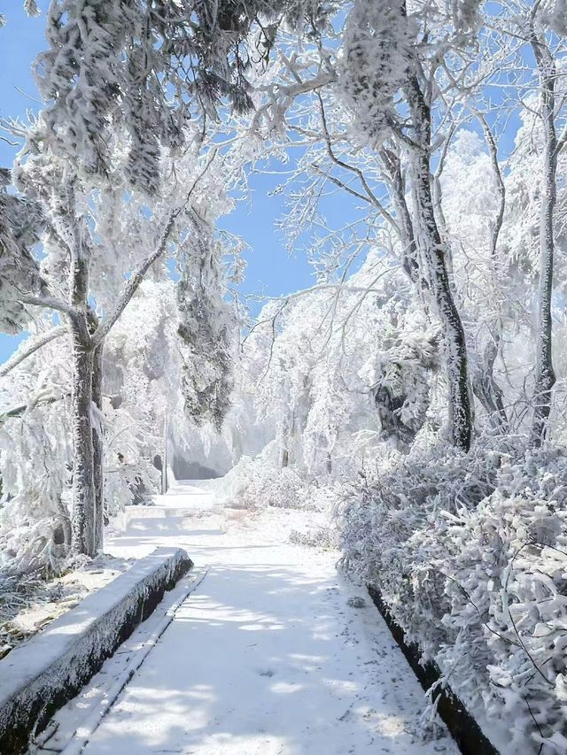 南方小夥伴12月都去廬山看雪2天1夜最全攻略! 南方小夥伴12月都去廬山看雪2天1夜最全攻略!