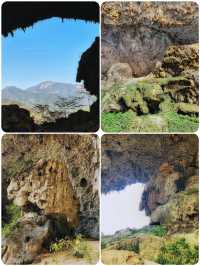 天窗花河｜闖入會開花的水下森林