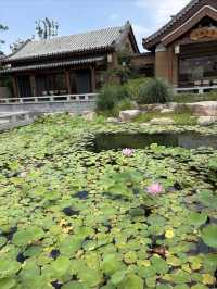 去了三次魯源村