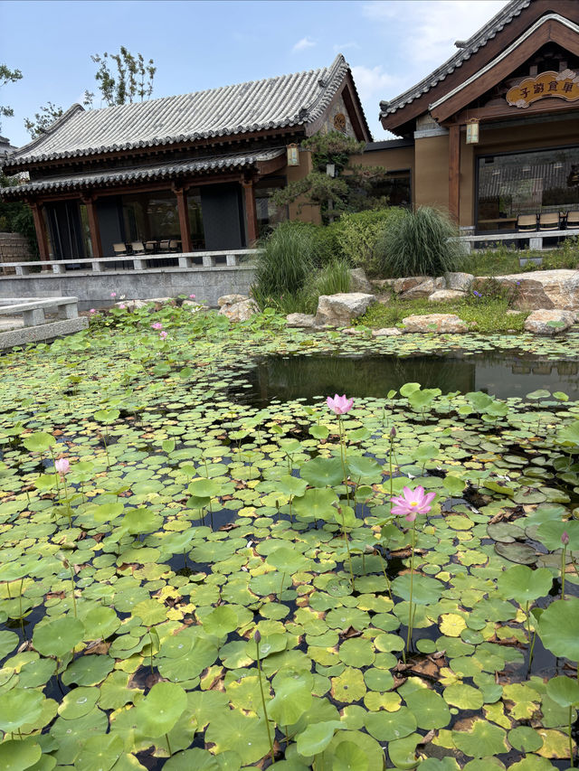 去了三次魯源村 去了三次魯源村