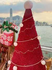 Hong Kong Christmas Vibes Are NEXT LEVEL! 🎄 Must-Visit Trees + Insta-Ready Spots 📸