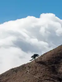 冬季武功山到底多美 不去看看嗎