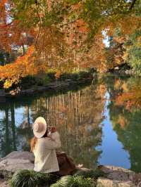 東郊秘境直出！比西郊美10倍的live級秋日畫冊