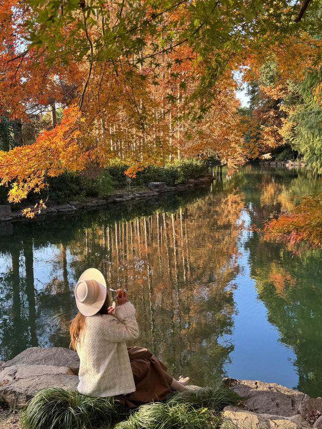 東郊秘境直出！比西郊美10倍的live級秋日畫冊