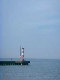 冬季濱海國家森林公園藏在山海間的冬日童話