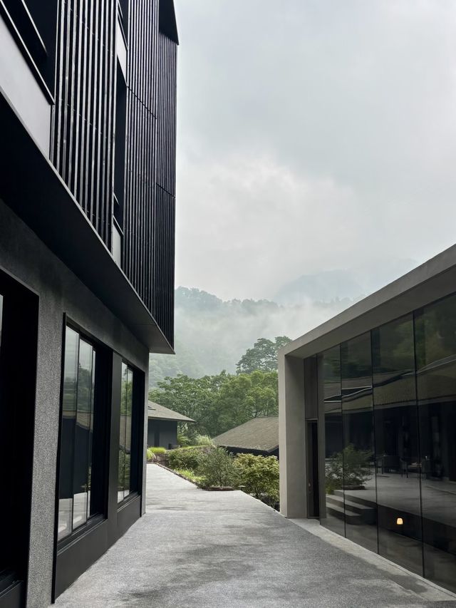 來峨眉山住進這家神仙民宿，隱於山林間的治癒系旅居體驗