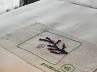 魔都新寵!上海世博木棉花凱悅臻選酒店打卡攻略