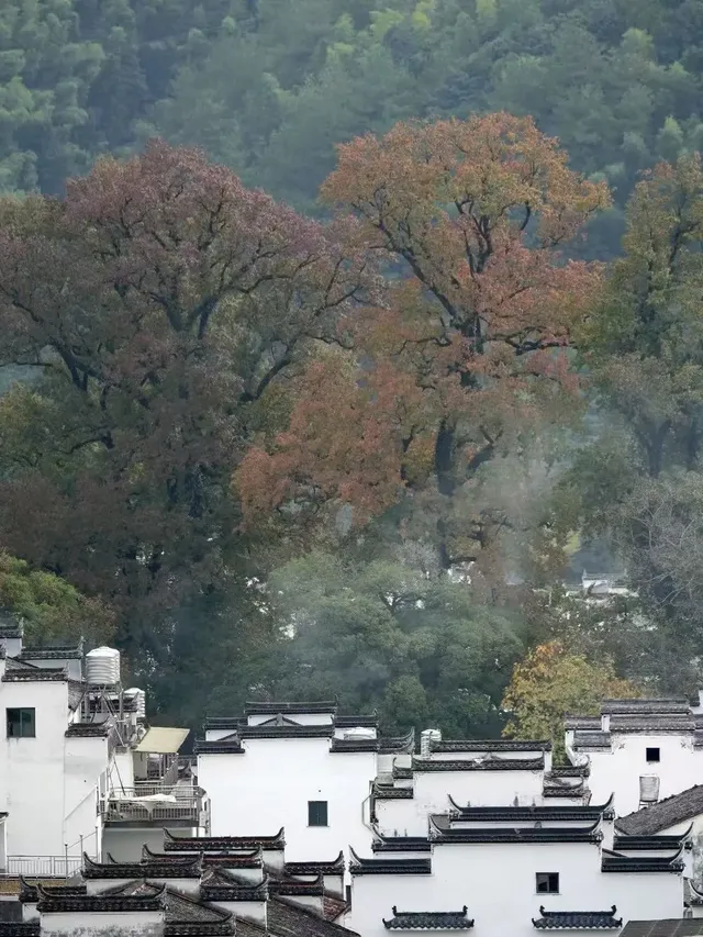 江西4天3夜路線!三清山雲海美到失語把仙 江西4天3夜路線!三清山雲海美到失語把仙