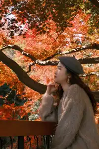 總要去莫干山看一次楓葉吧!