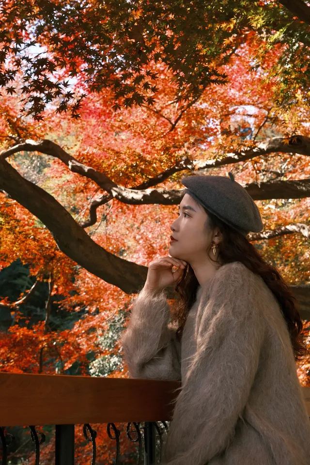 總要去莫干山看一次楓葉吧! 總要去莫干山看一次楓葉吧!