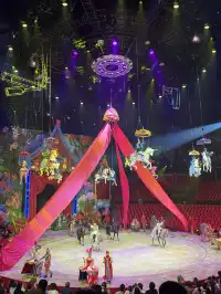 上海野生動物園最全帶娃攻略