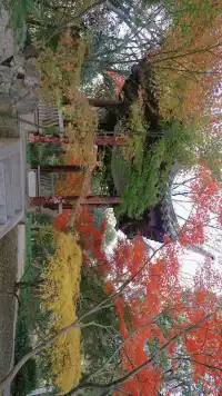 11.30植物園還是那麼有性價比 ＼(*T▽T*)／