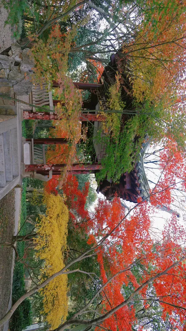 11.30植物園還是那麼有性價比 ＼(*T▽T*)／