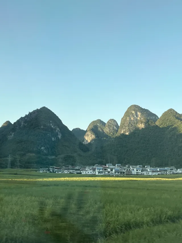 來崇左,是意外之喜 來崇左,是意外之喜