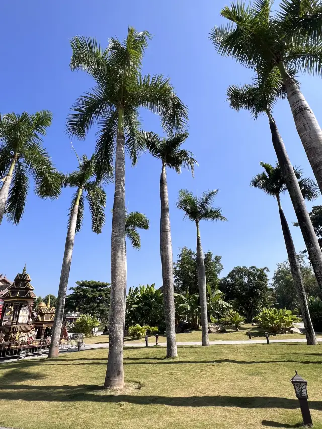 สิบสองปันนา