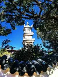 要來一次普陀山，越來越好（附攻略）